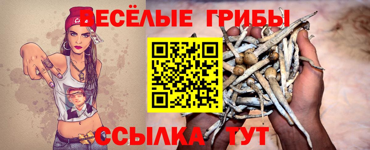 Псилоцибиновые грибы мухоморы  Галлюциногенные грибы GOLDEN TEACHER  Сарапул  Вход с VPN 